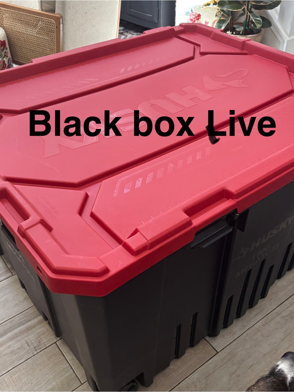 Black tote live